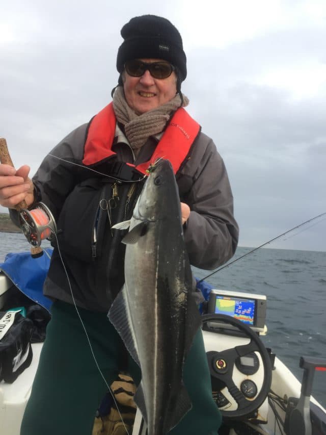 5lb coalfish