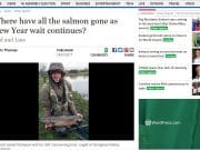 Where have all the salmon gone as New Year wait continues? Belfast Telegraph Where have all the salmon gone as New Year wait continues?