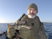 Playful perch make up pouting pike on Ennell Jim Walsh and a perch