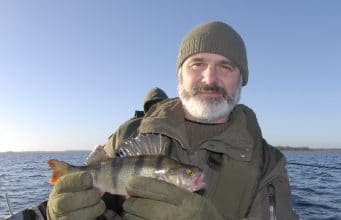 Playful perch make up pouting pike on Ennell Jim Walsh and a perch