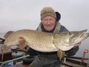 Derravaragh monsters – truth in the rumors A high 20 for Mick