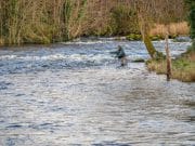 The start of a new season on the Drowes Gareth Mc Ateer in action on the Mill Pool on New Years Day 2017