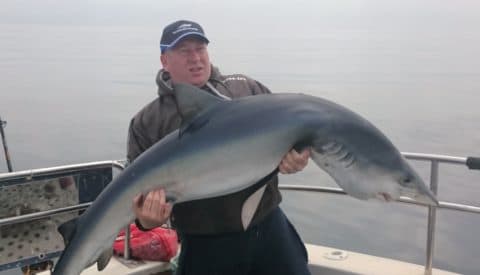 Henry Kelly and the blue shark