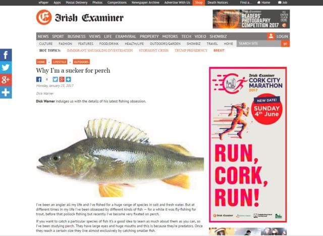 Why I’m a sucker for perch