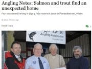 Salmon and trout find an unexpected home – Irish Times