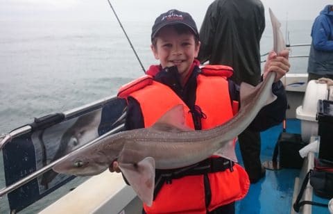 John-Patrick Chew with one of his Specimen Hounds