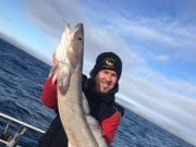 Good wrecking off Courtmacsherry, tope tipped for next trip Ling to to the high teens were also caught