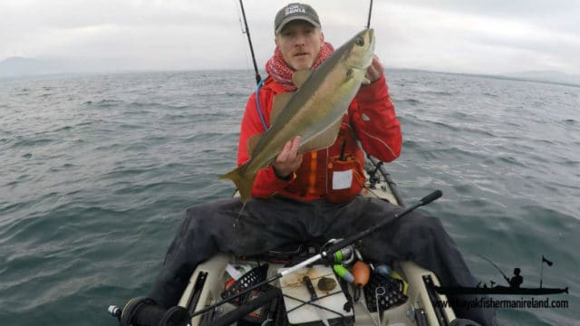 Pollack soon followed and after a move it was a fish a cast