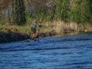 First Ever Fishless January in Ireland