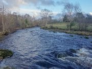 Irish Angling Update – 02 February 2017 Drowes