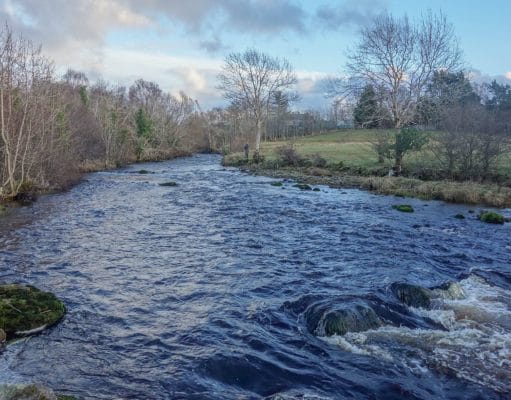 Irish Angling Update – 02 February 2017 Drowes