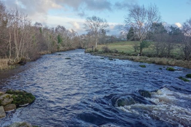 Drowes
