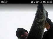 22 lb Pike from the Inny caught on roach deadbait