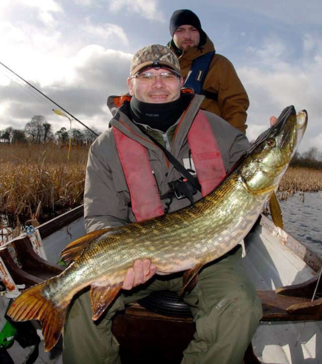 Miro with a good pike