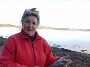 Bannow Bay anglers have a good day at Cheekpoint international anglers were present