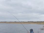 No big bags at Ballyforan as 10kg catch wins match Reeling em in on the Suck