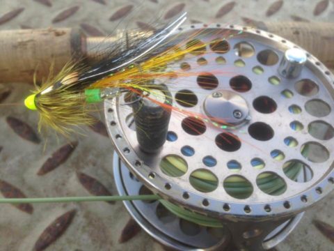 Connies fly will have to wait for the water levels to improve