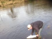 Ballyduff Bridge Fishery on Blackwater sees its first springer landed Ballyduff Bridge Fishery