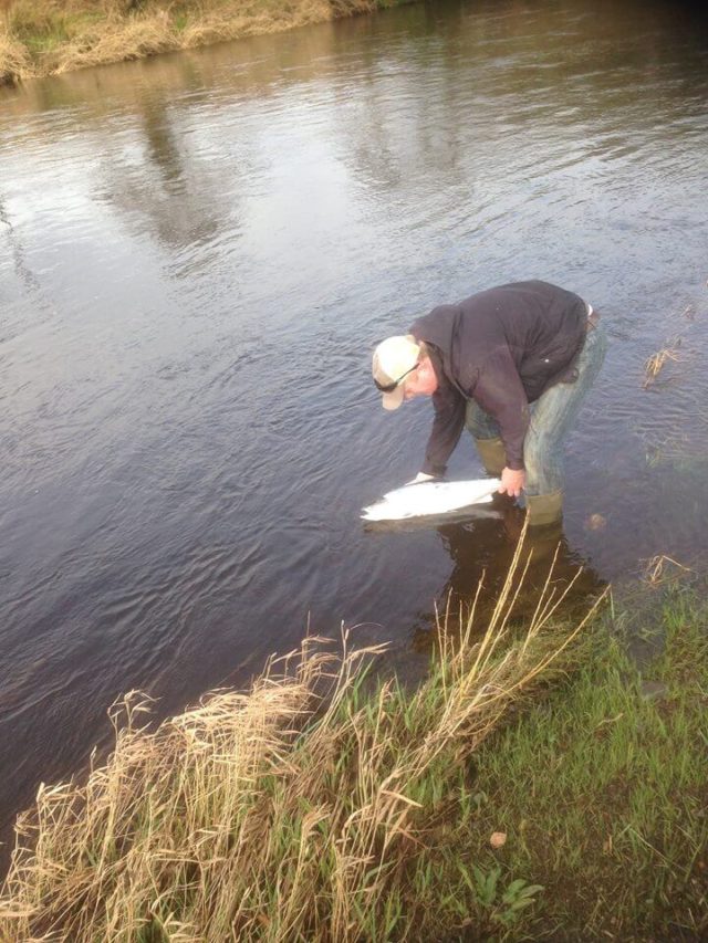 Ballyduff Bridge Fishery