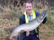 Pike to almost 30lb for Newbridge and District Pike Anglers Paul Gosson's 29lb pike took a lamprey deadbait