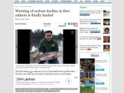 Warning of serious decline as first salmon is finally landed, Belfast Telegraph Warning of serious decline as first salmon is finally landed