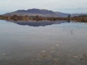 Currane anglers in pursuit of first salmon of the season All is calm on Lough Currane