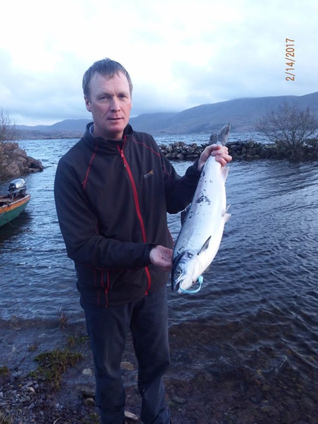 salmon