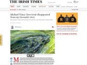 Michael Viney: how trout disappeared from my favourite river, Irish Times Michael Viney: how trout disappeared from my favourite river