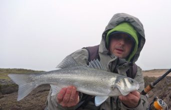 More Kerry bass report on lures Tomasz's first bass of the year