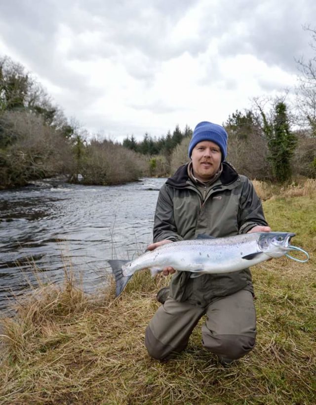 salmon
