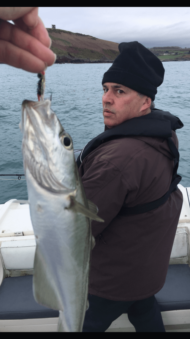 Pollack on fly