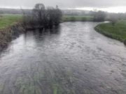 Bandon anglers wait for news of fresh fish River Bandon
