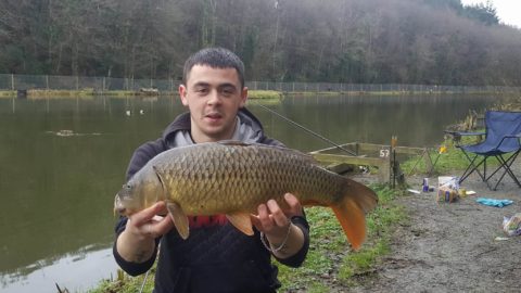 Carp were also taken off the top on bread flake