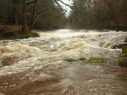 It's not surprising the anglers didn't manage to land any fish hooked