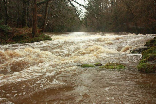 It's not surprising the anglers didn't manage to land any fish hooked
