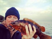 Wrasse off the rocks under red skies in Donegal A wrasse in the hand
