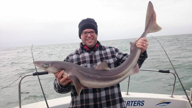 Another good spurdog for Wicklow Boat Charters
