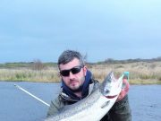 A few more springers from the Drowes Julian Ciconte with his fish from the Wash Stones on Tuesday. Pic courtesy J. Ciconte