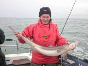 More specimen spurdogs for Wicklow Boat Charters
