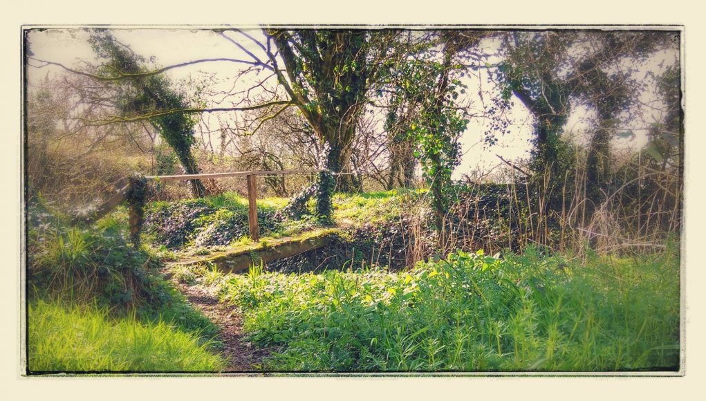 spring sunshine... spring sunshine...