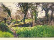 Bandon anglers expect a fish, conditions good spring sunshine...