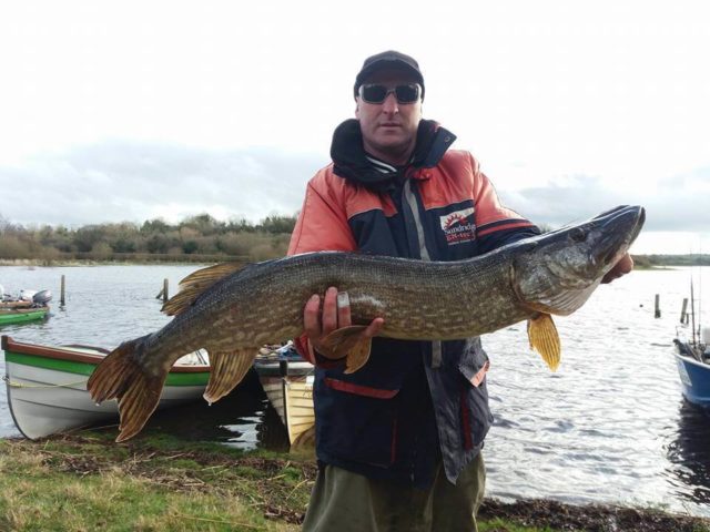 Joe McDermott with a 17-12
