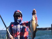 Lady Gwen at it again – charter fishing the Clare coast A fat pollack is held up by an angler