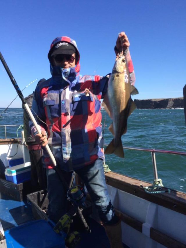 A fat pollack is held up by an angler