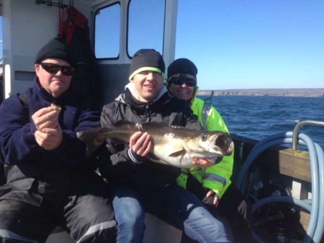 A good pollack on the boat