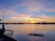Irish Angling Update, 31 March 2017 Playing a trout in the last light on Corrib. A wonderful shot from Larry McCarthy.