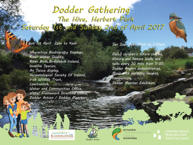 Dodder Gathering - Family Fun Events