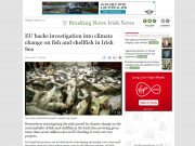 EU backs investigation into climate change on fish and shellfish in Irish Sea, Irish independent EU backs investigation into climate change on fish and shellfish in Irish Sea