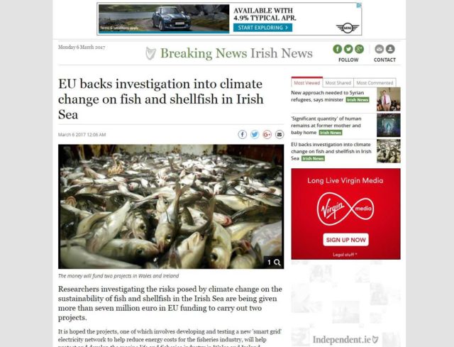 EU backs investigation into climate change on fish and shellfish in Irish Sea