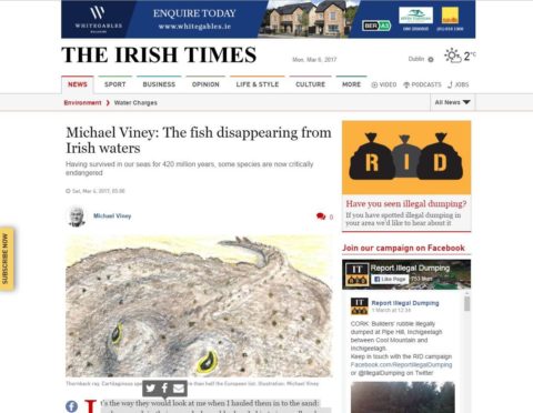 The fish disappearing from Irish waters
